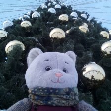 Как Риша ходила шарики смотреть