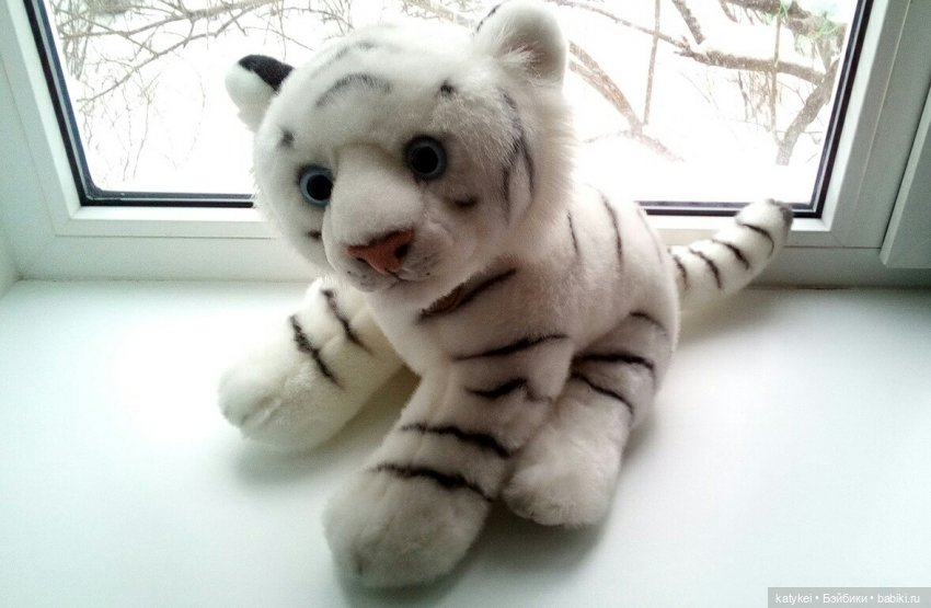 Дезил поздравляет всех с Новым годом (фото 3)