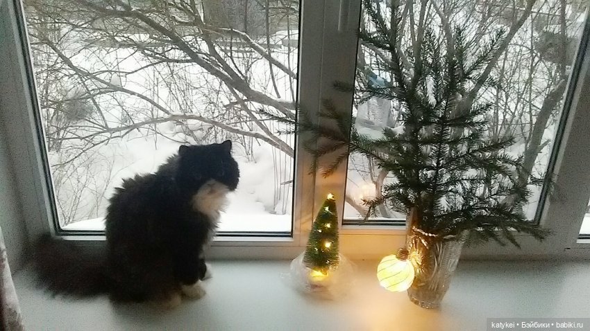 Дезил поздравляет всех с Новым годом (фото 10)