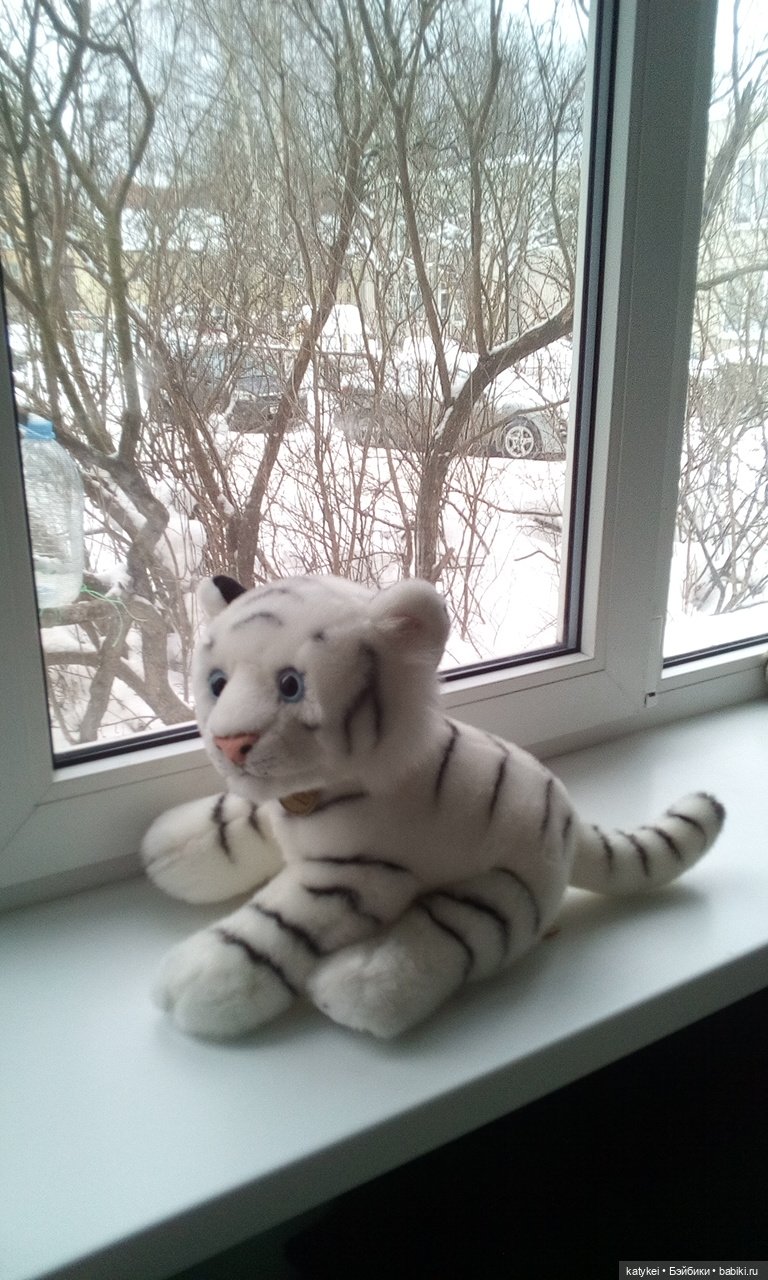 Дезил поздравляет всех с Новым годом (фото 2)