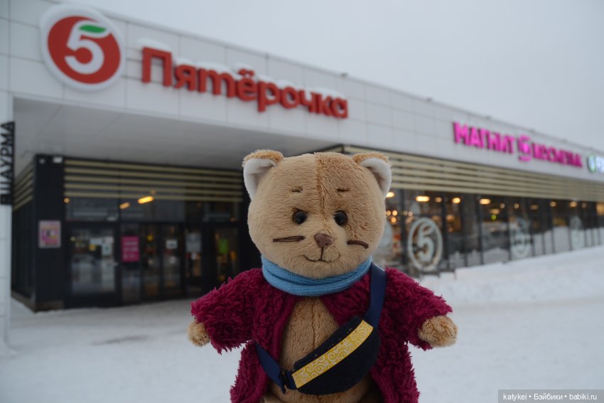 Провозить ручную кладь разрешается (постконкурс) (фото 5)