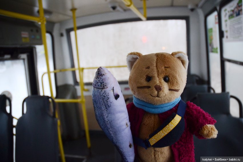 Провозить ручную кладь разрешается (постконкурс) (фото 4)