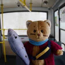 Провозить ручную кладь разрешается (постконкурс)