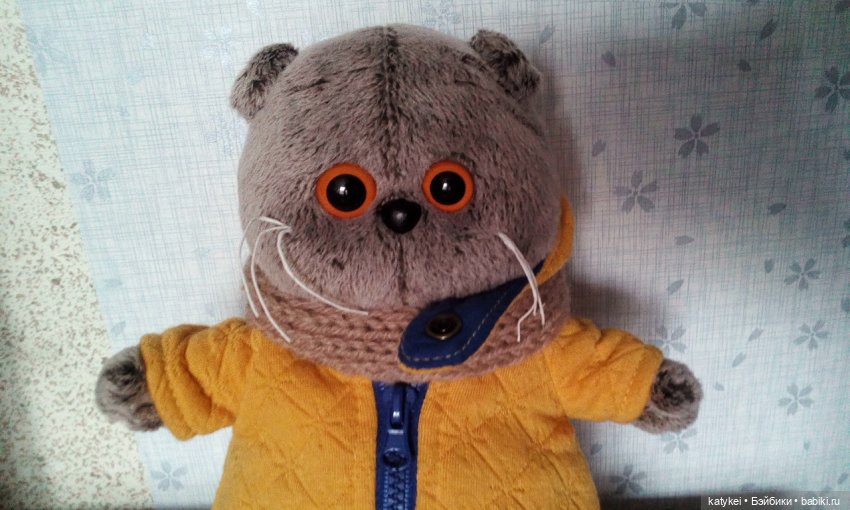 Я в братстве — Кот Басик (фото 6)