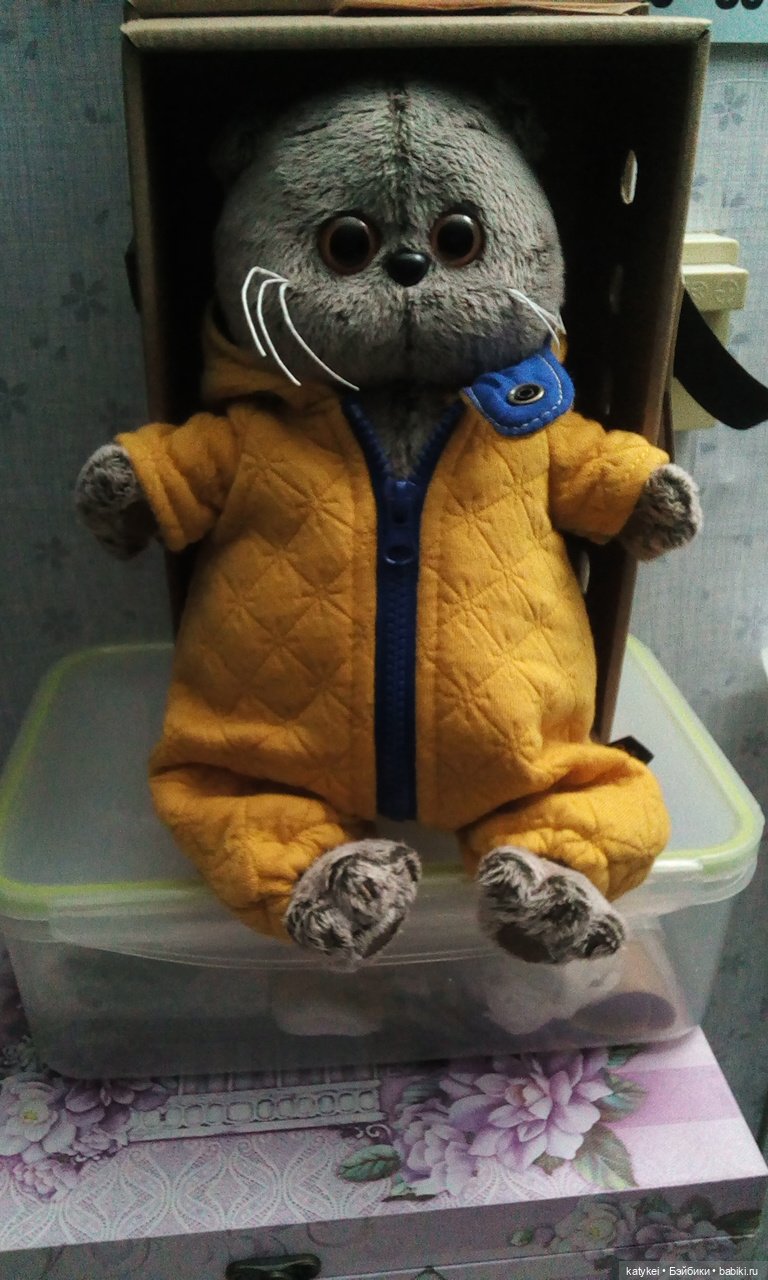 Я в братстве — Кот Басик