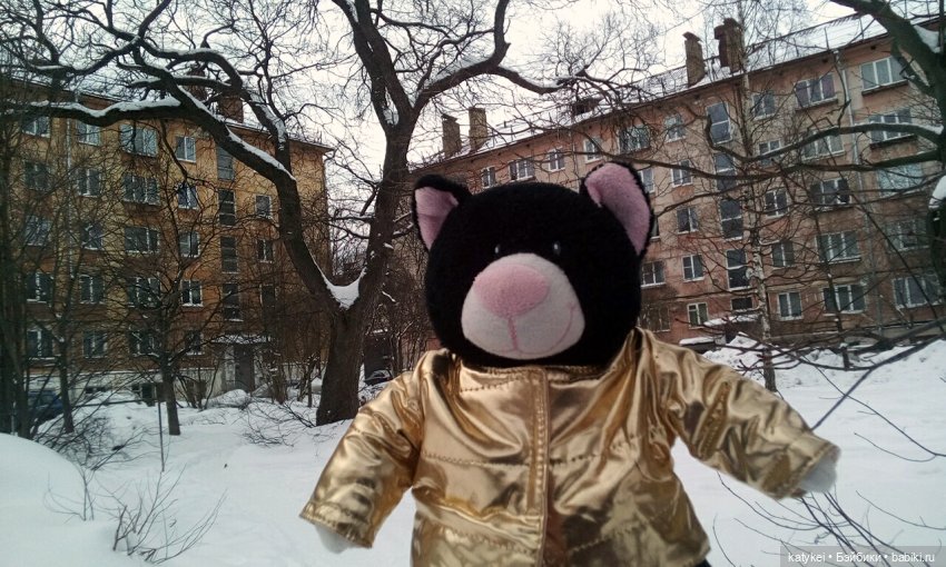 Душисто-золотистые овально-гениальные (постконкурс) (фото 4)