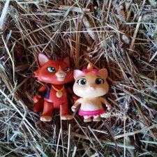 День котиков