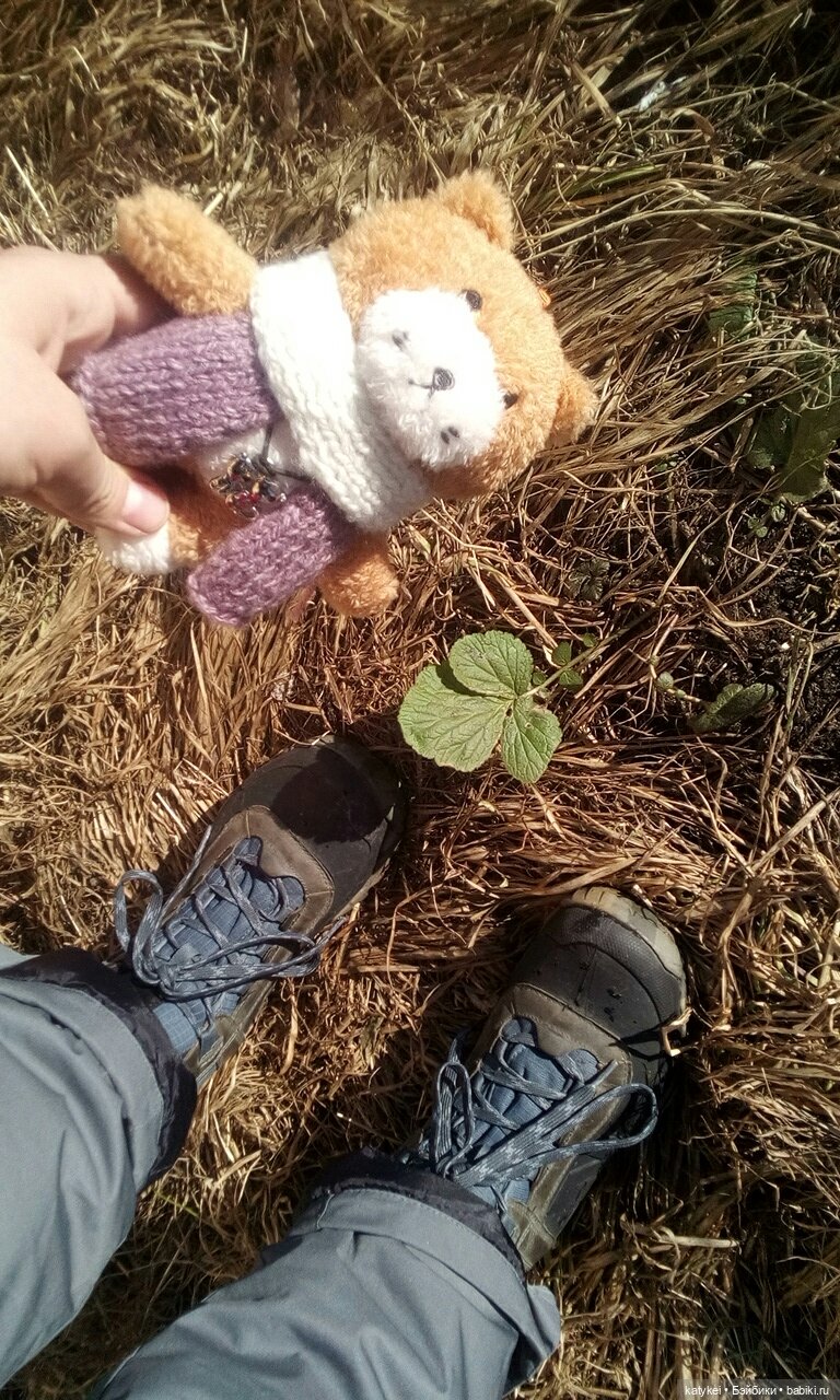 Джи намекает — Интересные игрушки и фигурки (разное): редкие (фото 3)