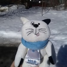 Силк любит милк. И гулять