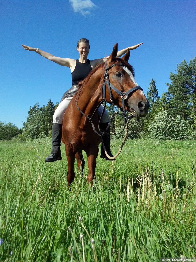 Верхом. День Конника — Авторские игрушки из разных материалов: синельная проволока