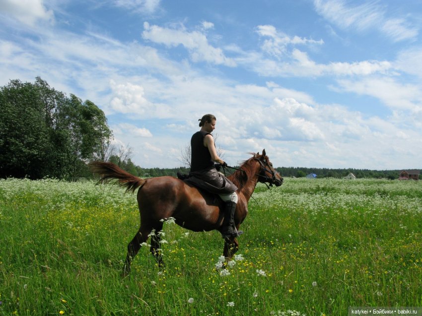 Верхом. День Конника — Авторские игрушки из разных материалов: синельная проволока