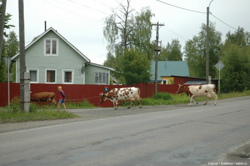 Верхом. День Конника — Авторские игрушки из разных материалов: синельная проволока (фото 2)