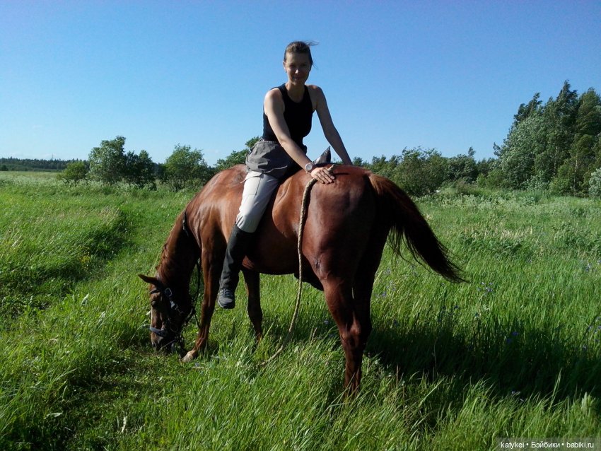 Верхом. День Конника — Авторские игрушки из разных материалов: синельная проволока (фото 4)