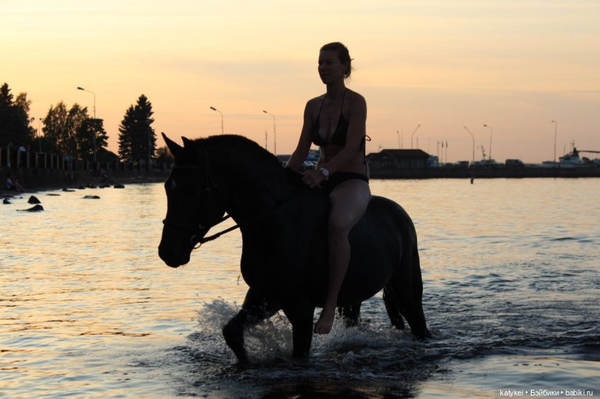 Верхом. День Конника — Авторские игрушки из разных материалов: синельная проволока