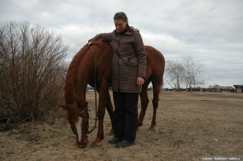 Верхом. День Конника — Авторские игрушки из разных материалов: синельная проволока