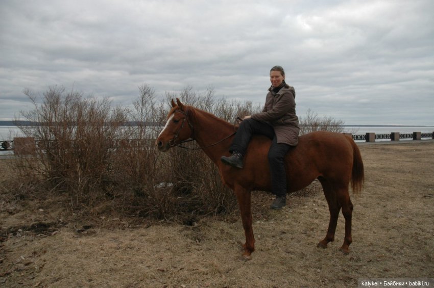 Верхом. День Конника — Авторские игрушки из разных материалов: синельная проволока (фото 9)