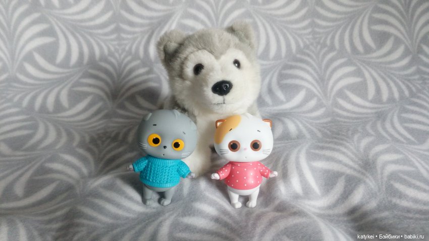 Котоблог. Какие хаски самые хасочные