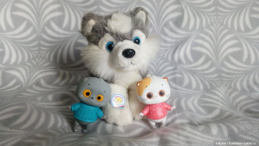 Котоблог. Какие хаски самые хасочные