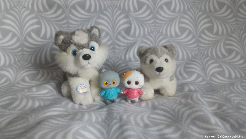 Котоблог. Какие хаски самые хасочные