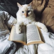 ФотоЧетверг. Почитай-ка