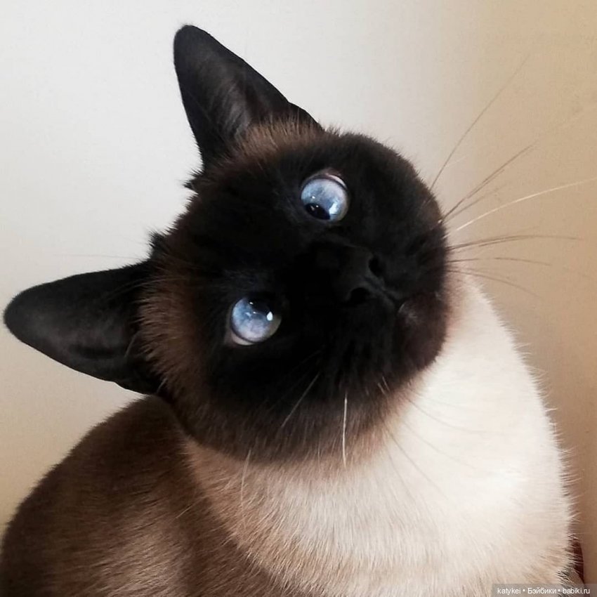 Плоский (почти) мир. 3 года на сайте (фото 4)