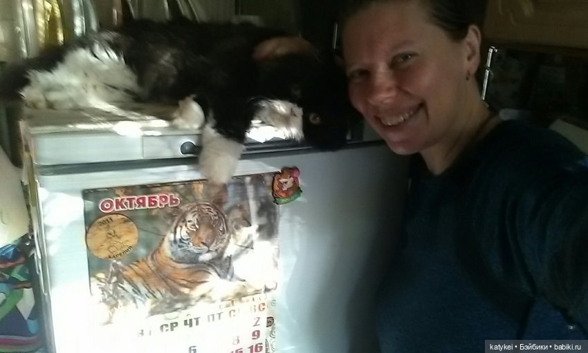 Как я листья покупала — Интересные игрушки и фигурки (разное): редкие (фото 8)