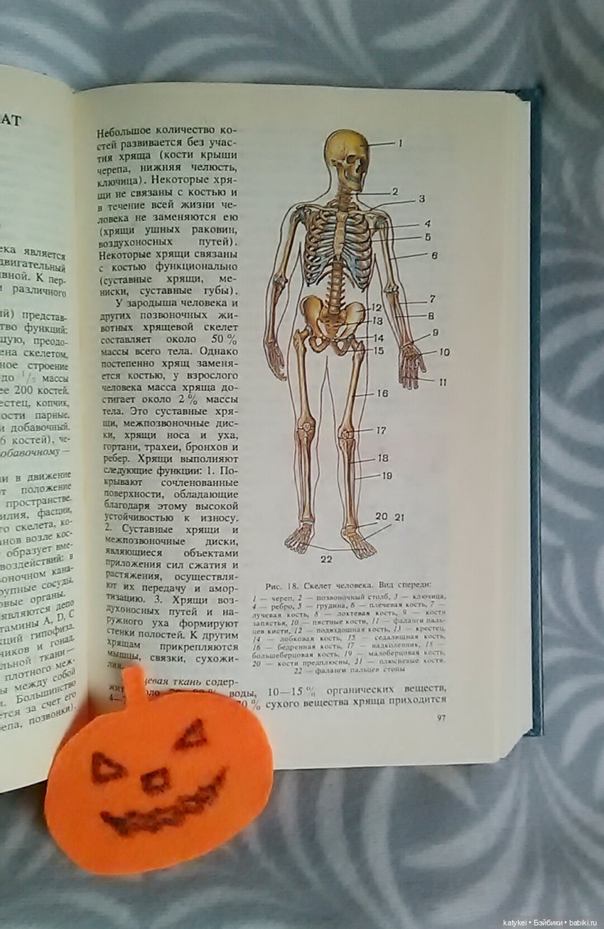 Страшно интересная история (фото 7)