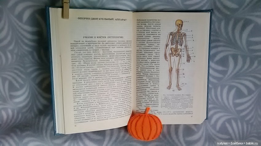 Страшно интересная история (фото 6)