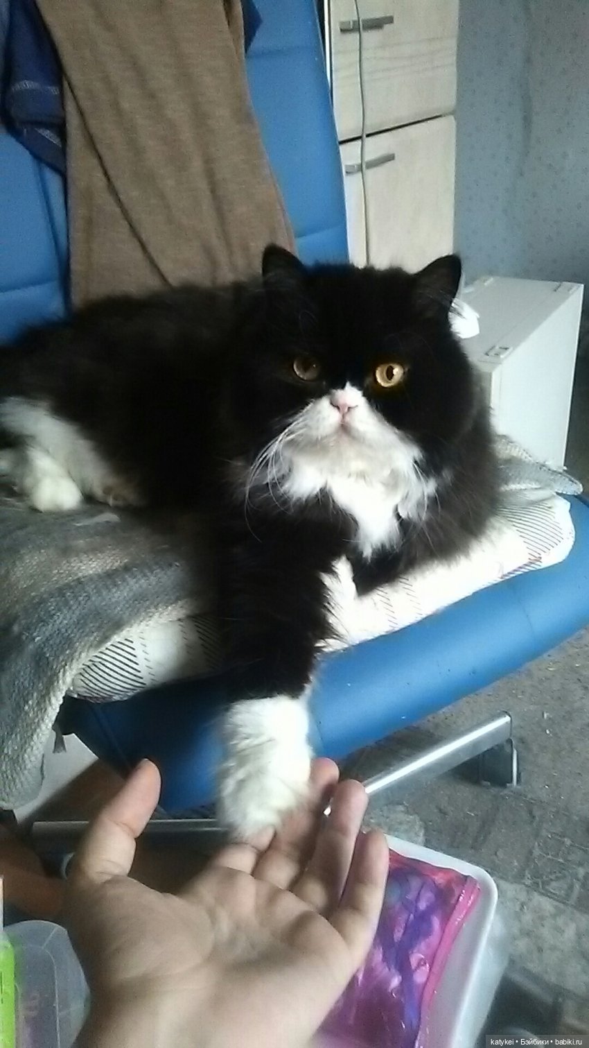 Суровые танцы — Интересные игрушки и фигурки (разное): редкие