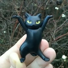 День чёрных котиков