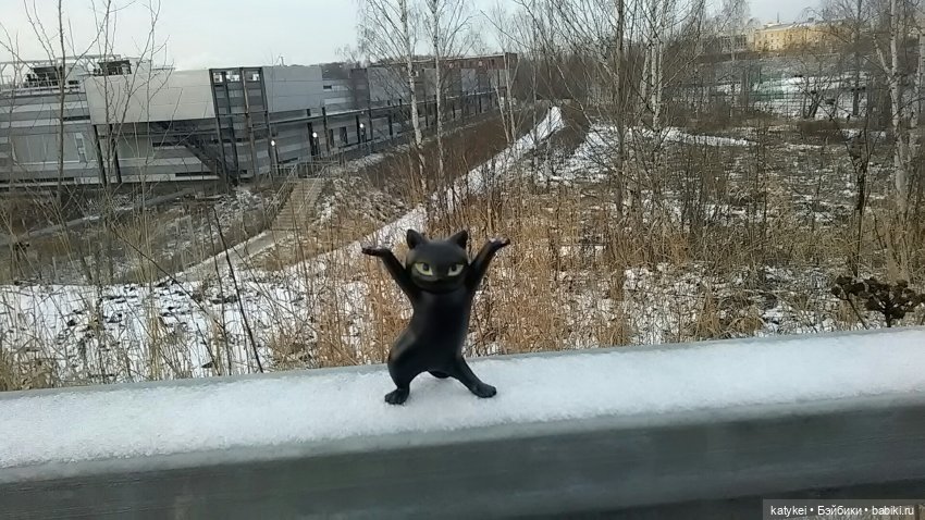 День домашних животных и танцы | Бэйбики День домашних животных и танцы