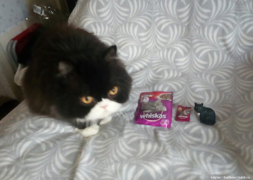 Котики и вискас — Текстильные игрушки и примитивы: кофейные (фото 7)