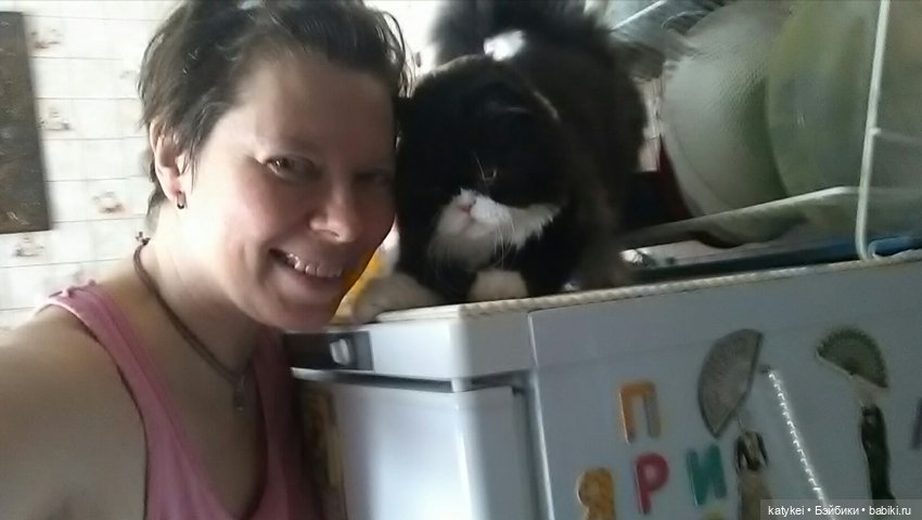 Котам – Масленица! (постконкурс) (фото 4)