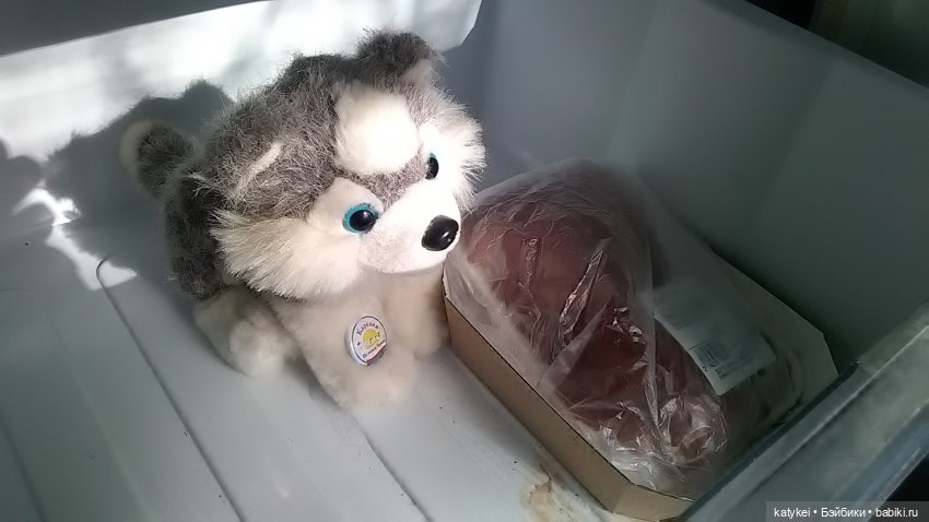 ФотоЧетверг. На букву "М" (фото 7)