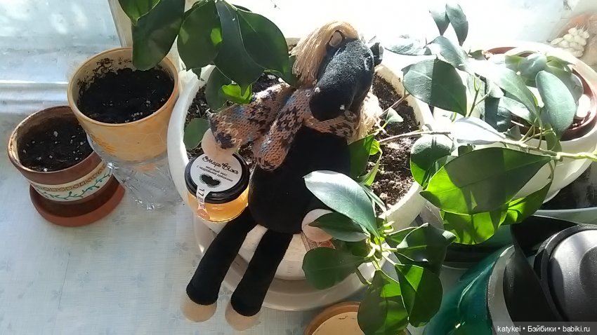 ФотоЧетверг. На букву "М" (фото 8)