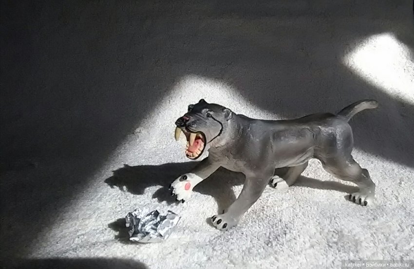 ФотоЧетверг. На букву "М" (фото 9)