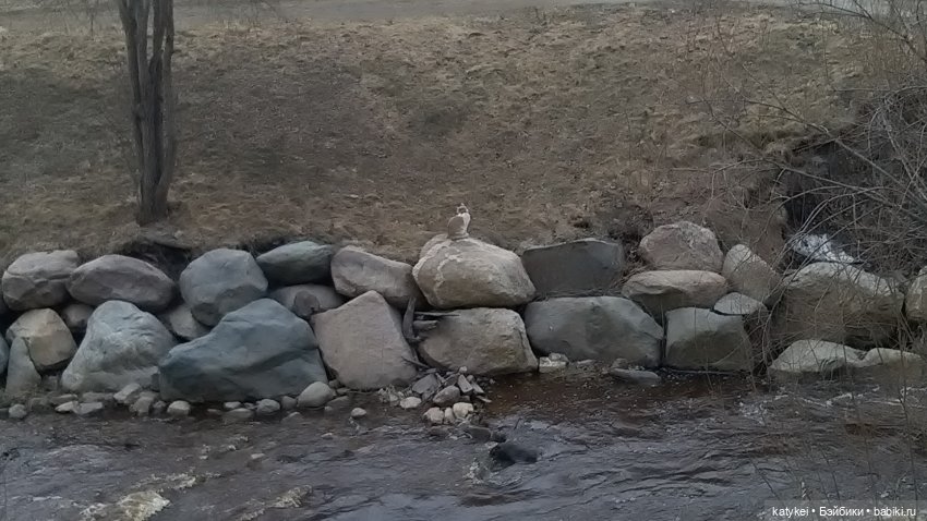 Спот, деньги и крышечки (400-й топик)