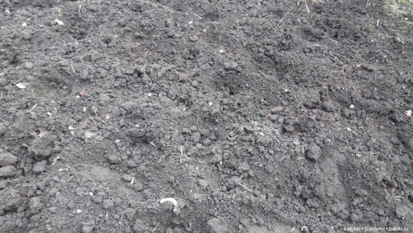 Хокку — Текстильные игрушки и примитивы: кофейные