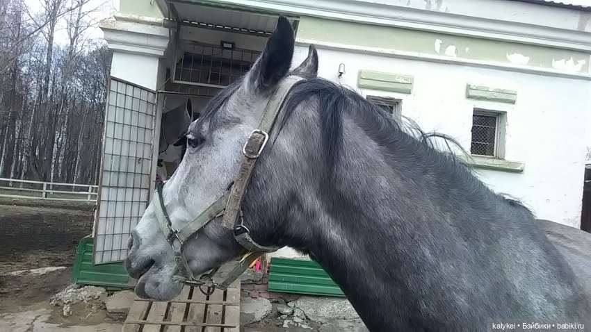 И так зелёные — Авторские мишки Тедди и друзья: фото (фото 4)