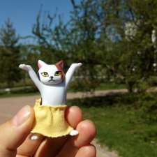 Рассвет. Нос