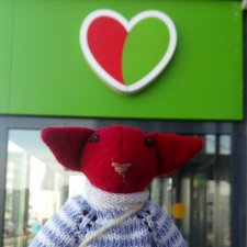 Морской (волк) кот