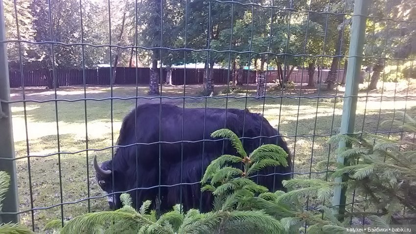 Что есть на конюшне — Интересные игрушки и фигурки (разное): редкие