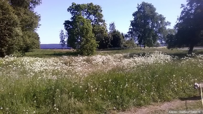 Что есть на конюшне — Интересные игрушки и фигурки (разное): редкие