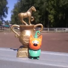 Что есть на конюшне?