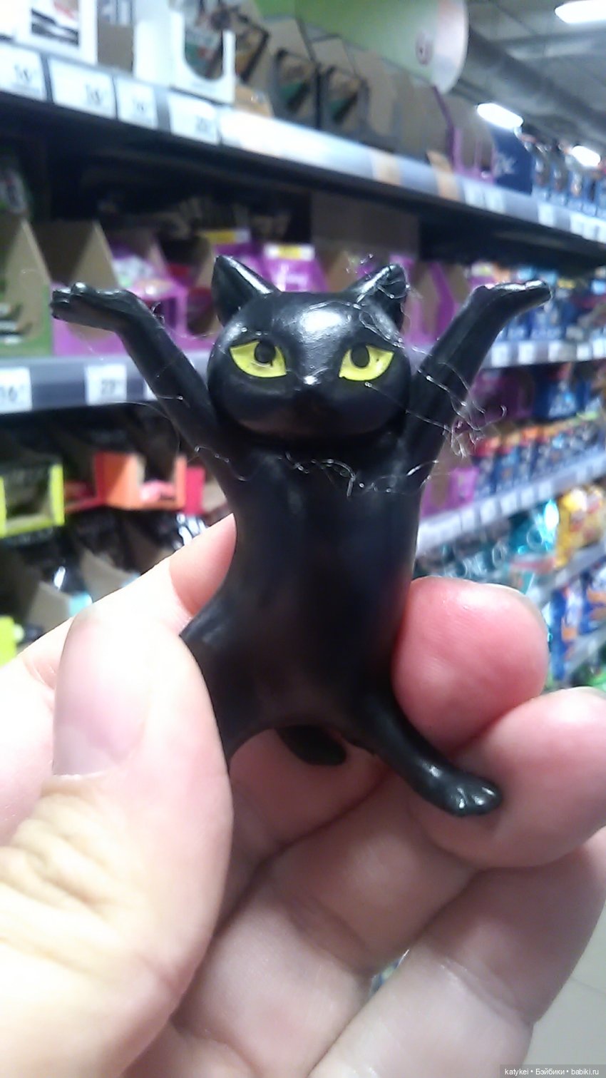 Рыбы есть? А если найду? Гром в День Города (фото 2)