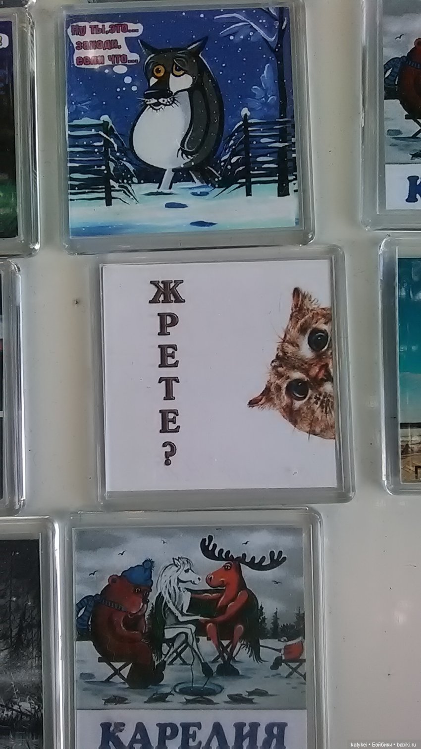 Рыбы есть? А если найду? Гром в День Города