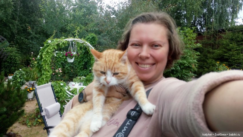 День благодарности рыжим котам 1 сентября | Бэйбики День благодарности рыжим котам 1 сентября (фото 9)