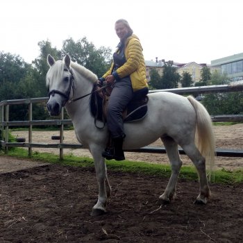 День лошади