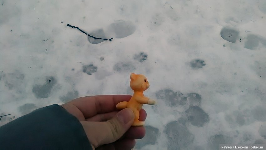 День благодарности рыжим котам 1 сентября | Бэйбики День благодарности рыжим котам 1 сентября