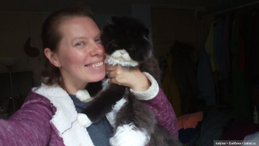 Белла Мяу и осенние листья (и опрос)